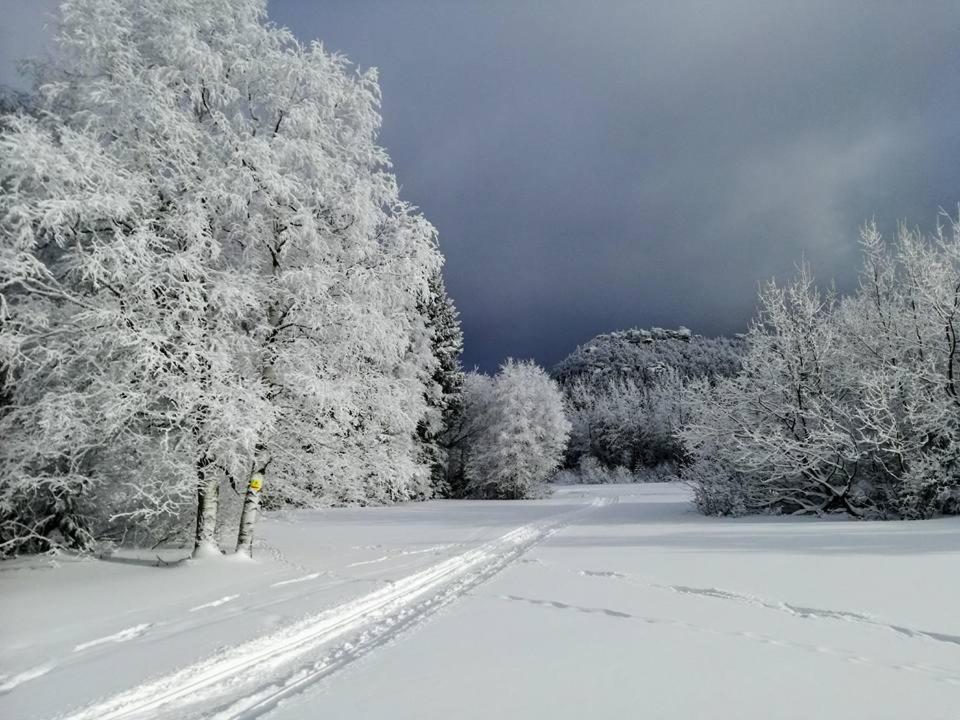 Zielona Roza Villa Wambierzyce Luaran gambar